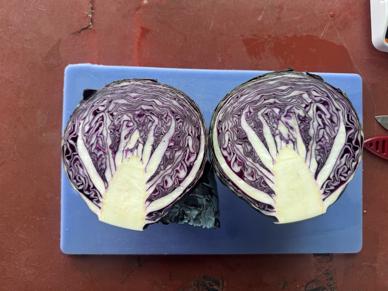 Fresh Red Cabbage Image