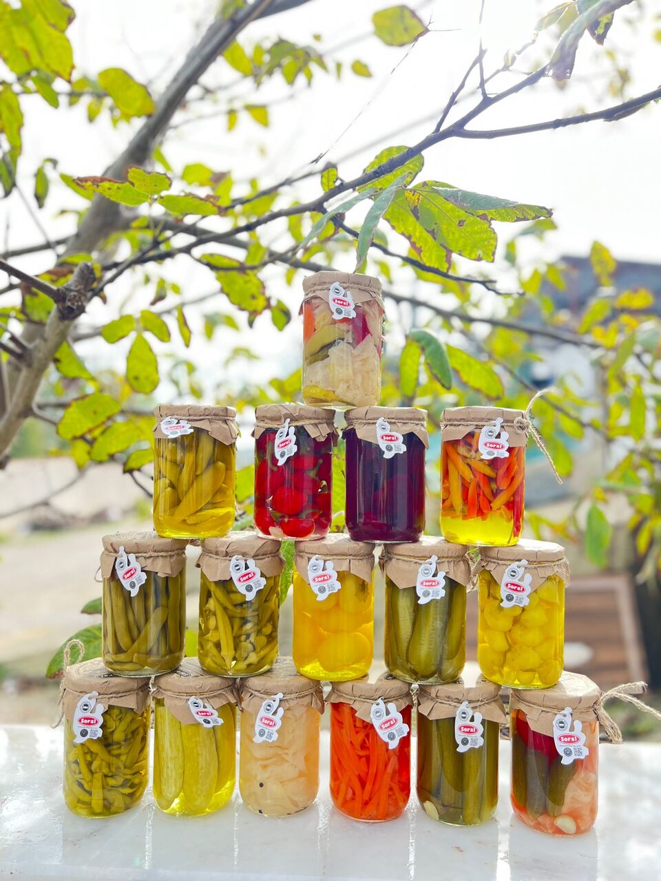 JAR PICKLE VARIETIES Image
