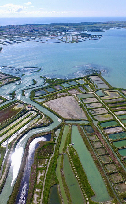 Salt and Fleur de Sel from Ile de Ré PGI Image