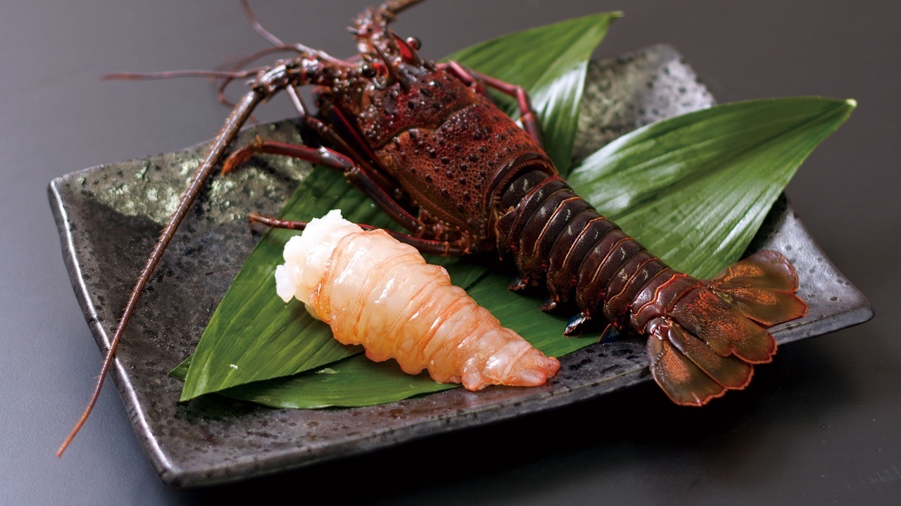 Japanese spiny lobster Image