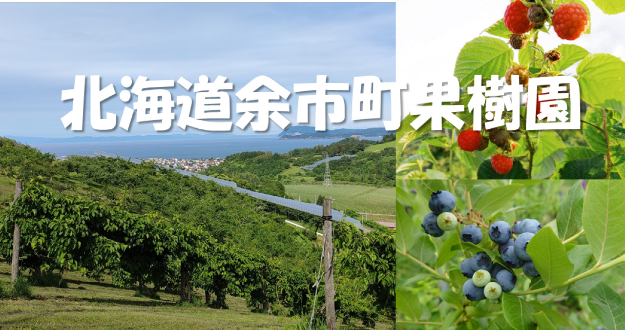 Hokkaido-Origin Probiotic FermentedMixed-Berries Vinegar Beverage (for dilution) Image