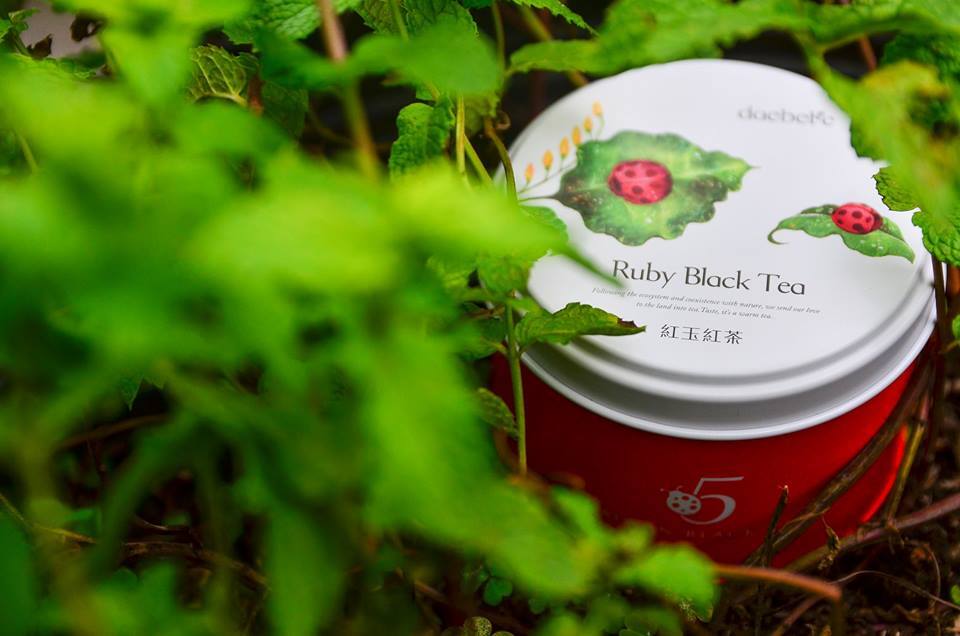 daebeté Taiwan Ecological Black Tea - Ruby Black Tea Image