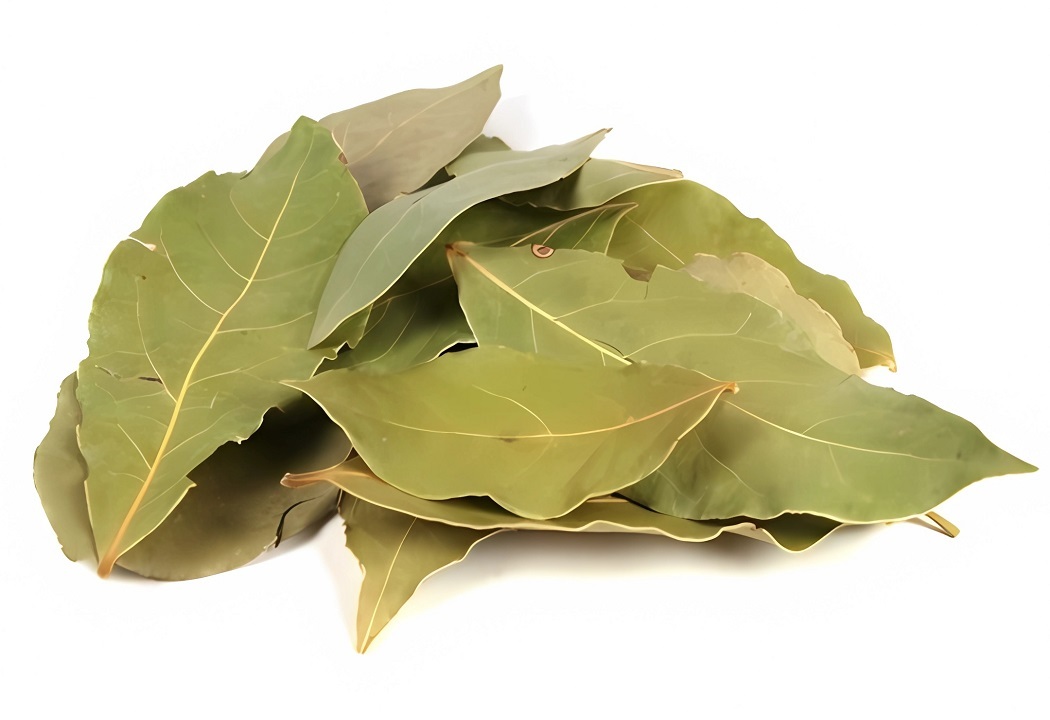 Dried bay leaves Image