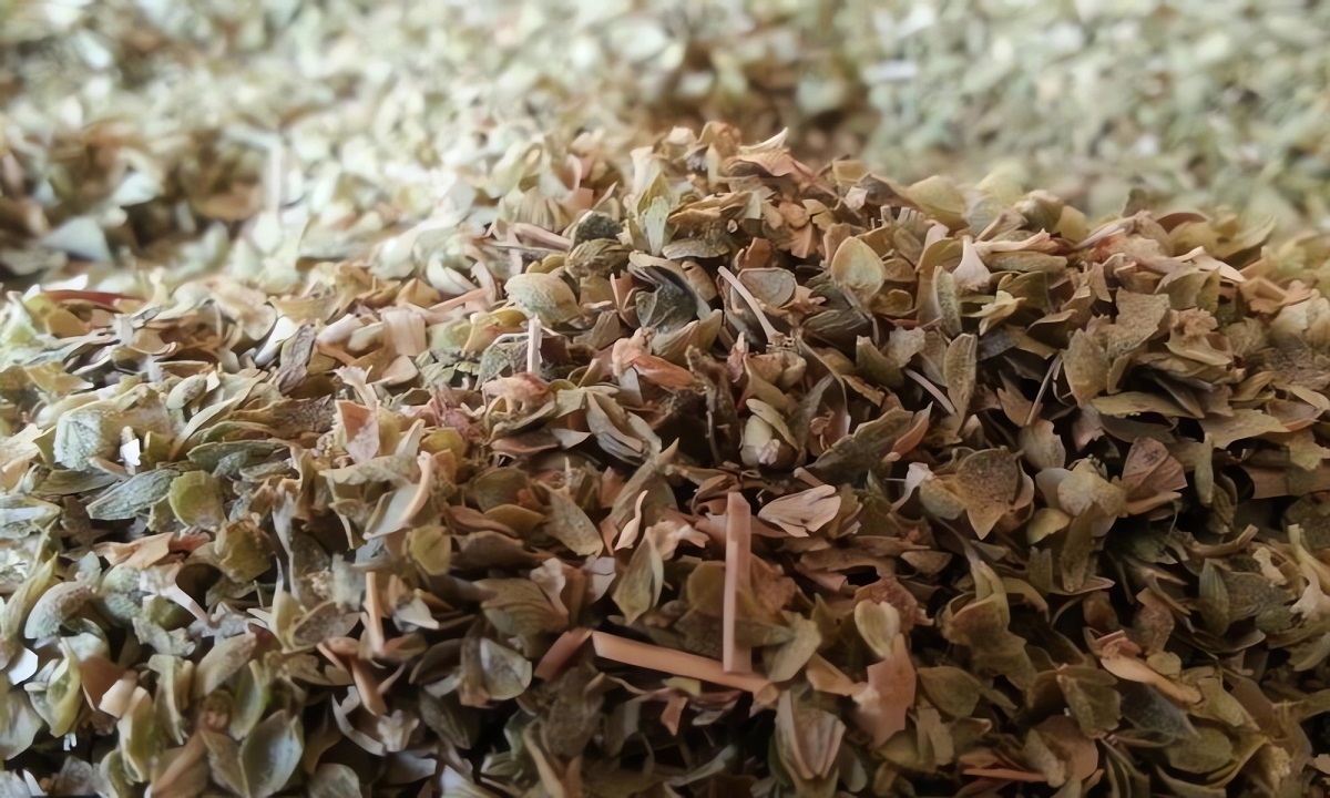 Dried oregano leaves Image