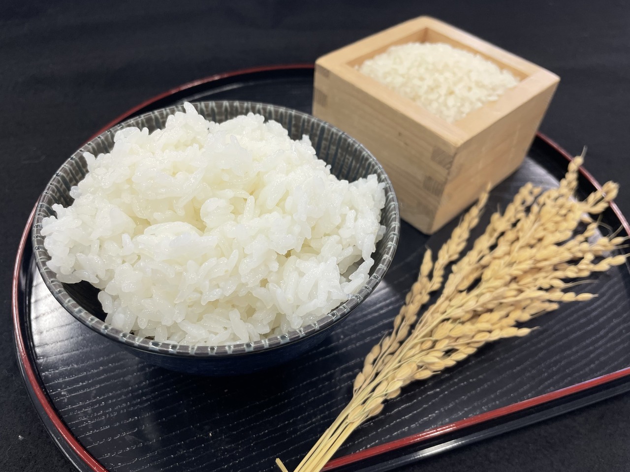 近江米「きらみずき」 イメージ