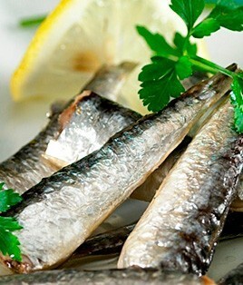 オリーブオイル漬けイワシ イメージ