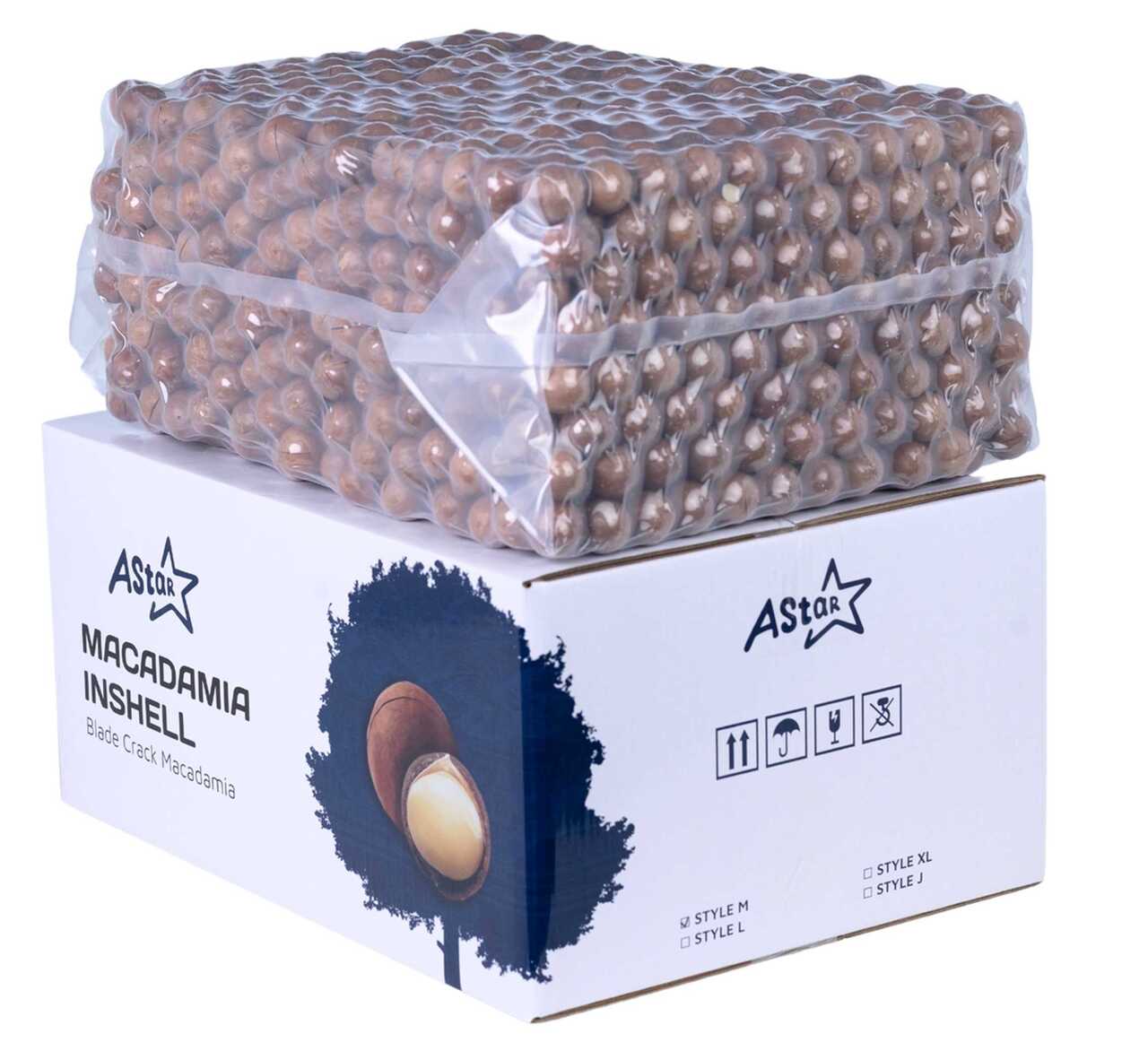 Roasted Macadamia Nuts In Shell Image