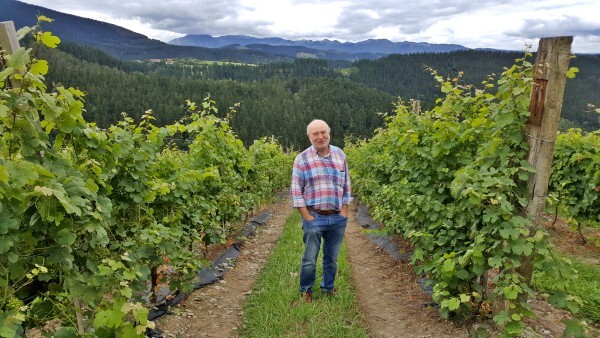 BERROJA  TXAKOLI（ベロハ　チャコリ） イメージ