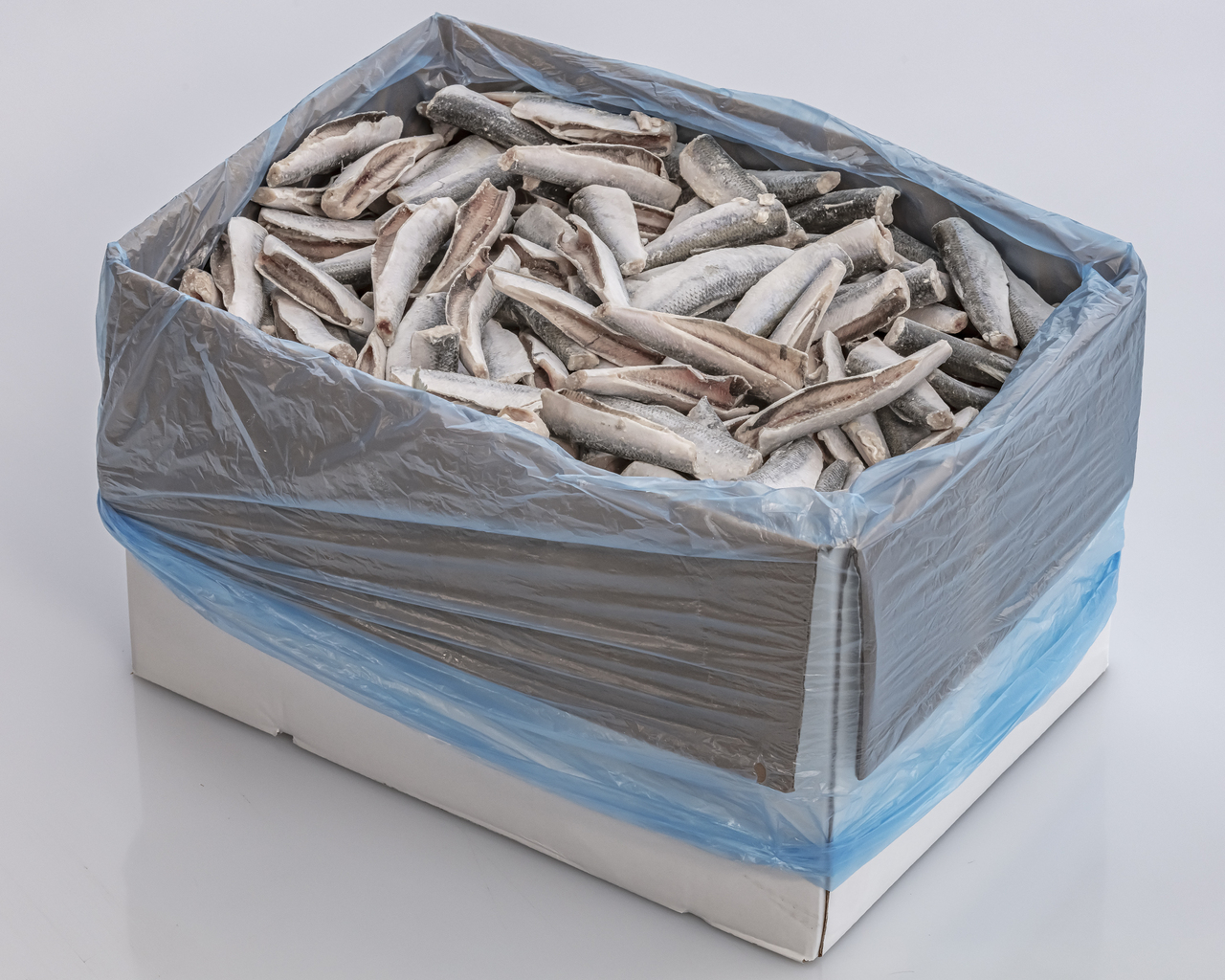 IQF Baltic herring Image