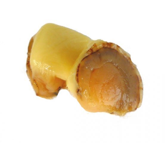 Soft Scallop With Cheese Image