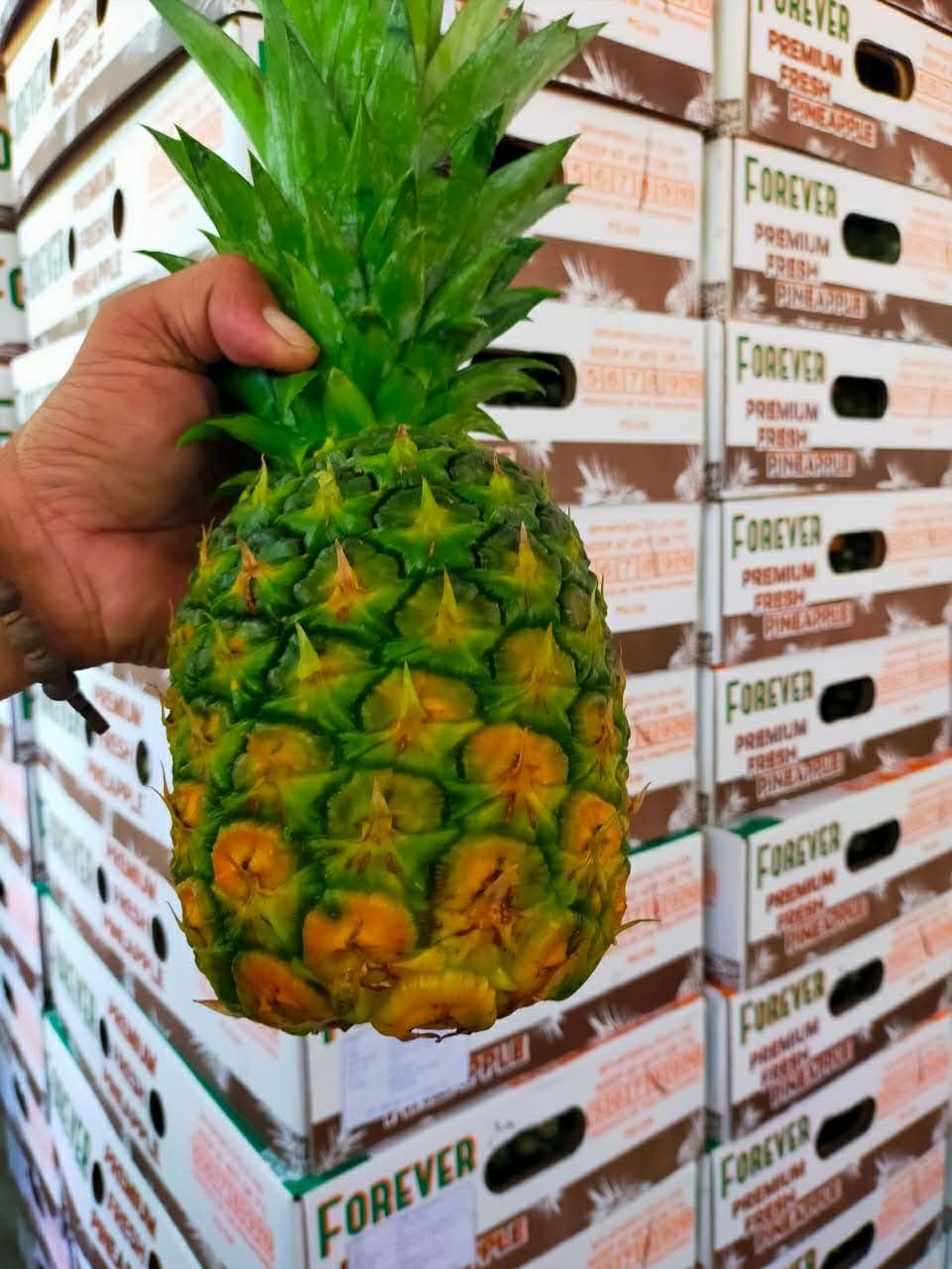 FRESH PINEAPPLE Image