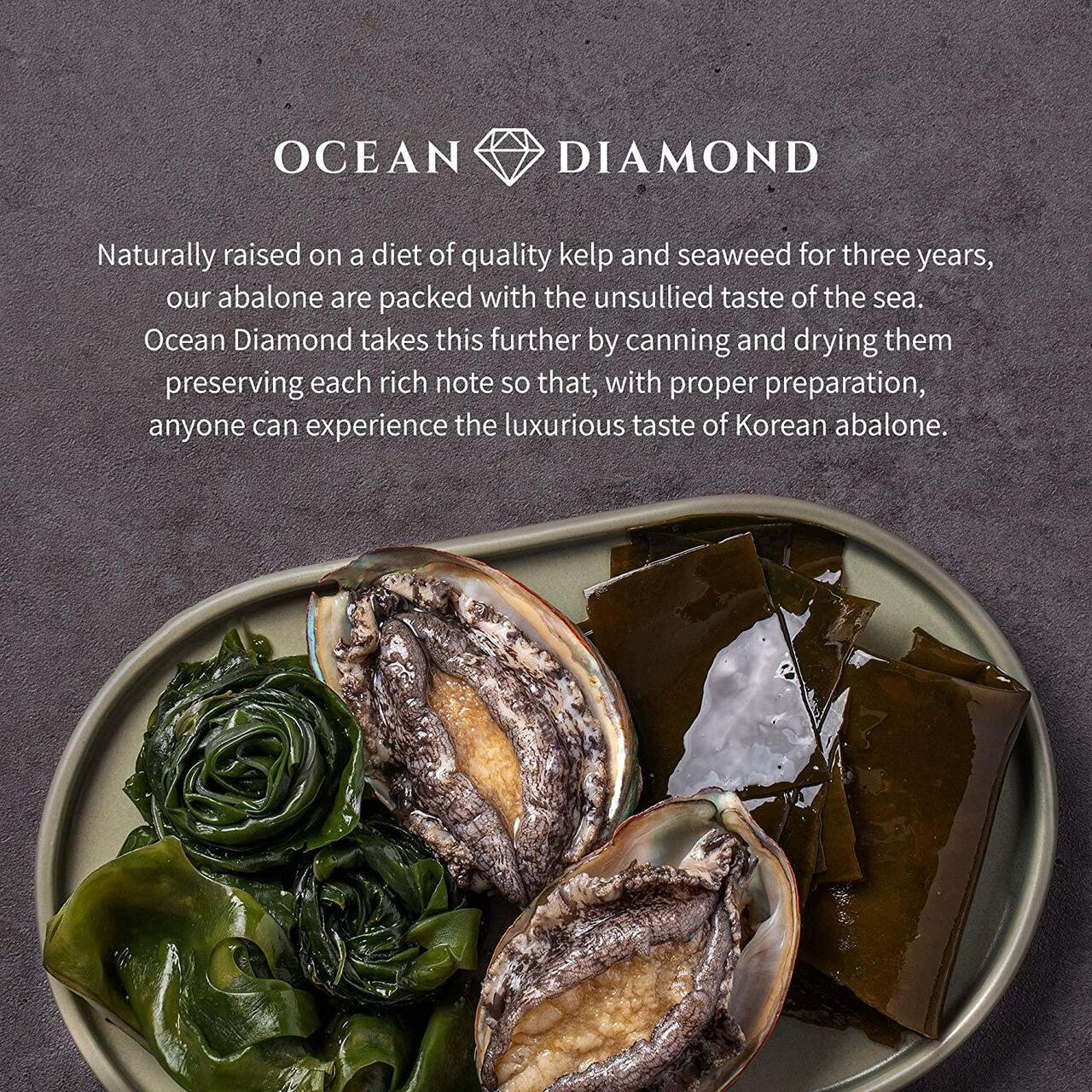 Live Korean Ezo Abalone Image