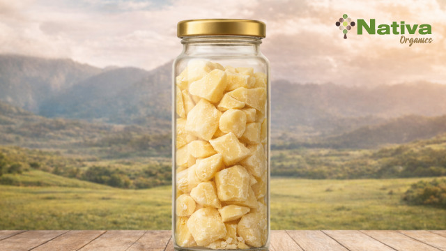 ココア イメージ