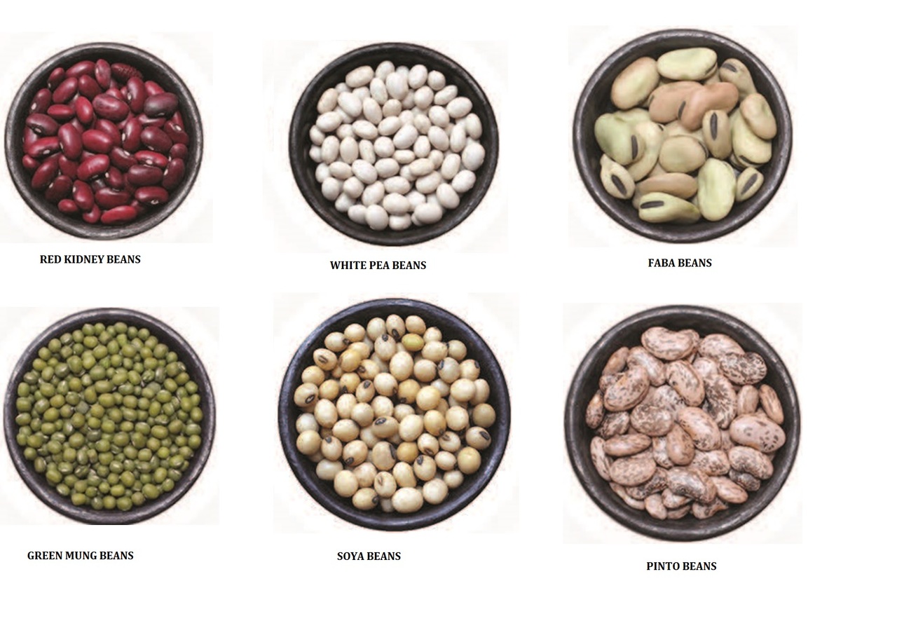 Ethiopian origin Agricultural Commodities pulses, oil seeds and Spices イメージ