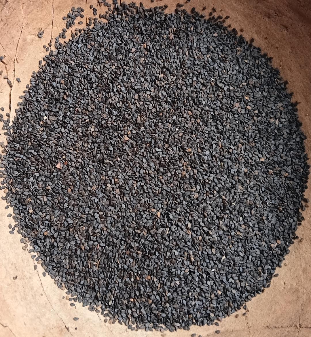 Sesame Seed (Brown & Black) Image