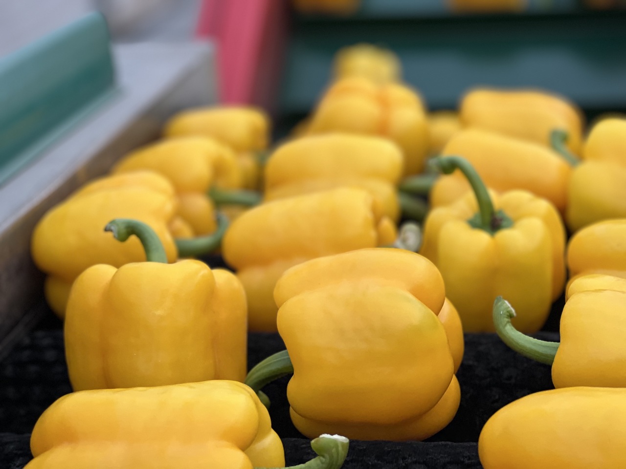 Paprika (Sweet Pepper) Image