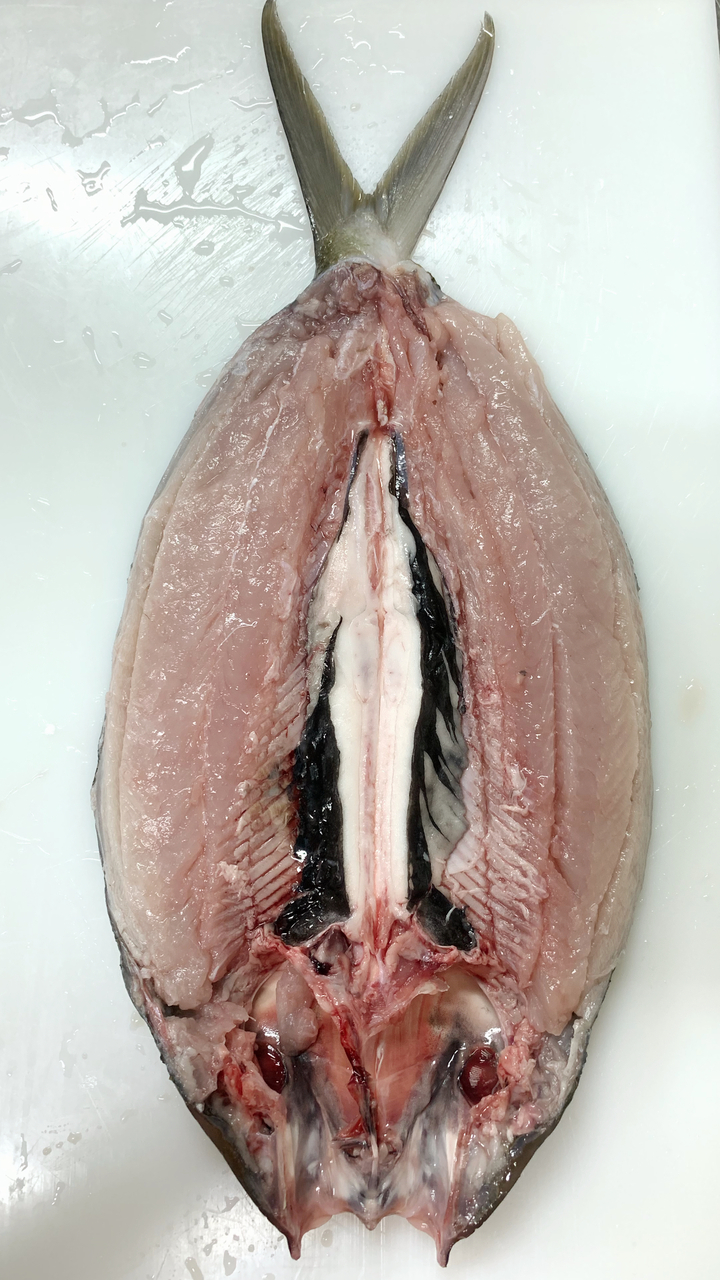 Deboned Milkfish Image