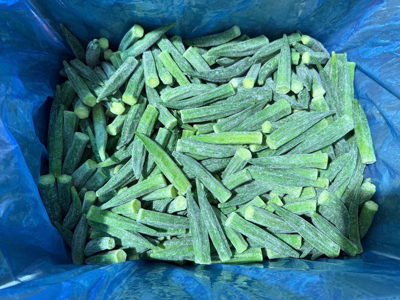 Okra Image