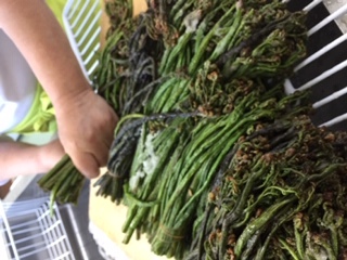 山菜おこわ　　越後もちめし イメージ