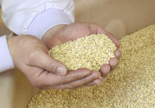 Organic white soy sauce 300ml Image