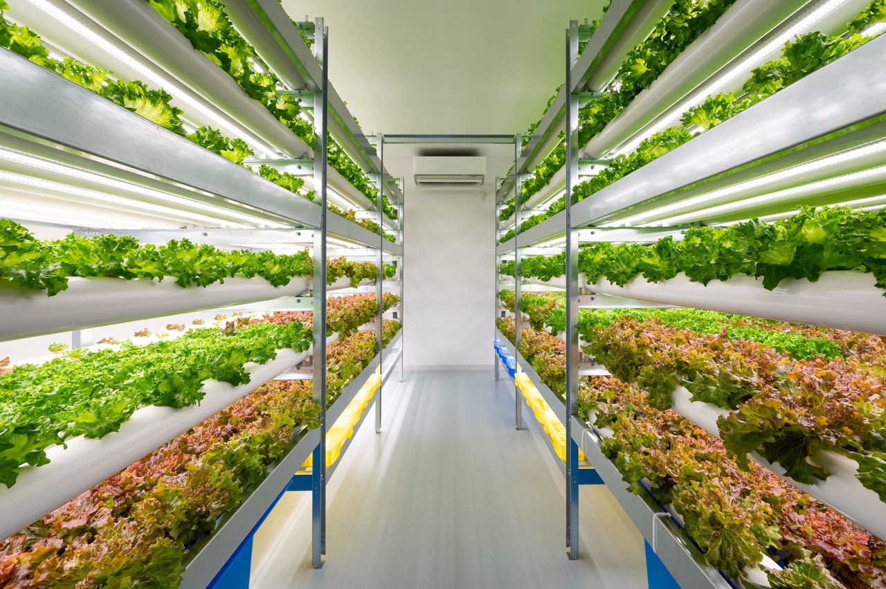 AGROT agricultural equipment Image