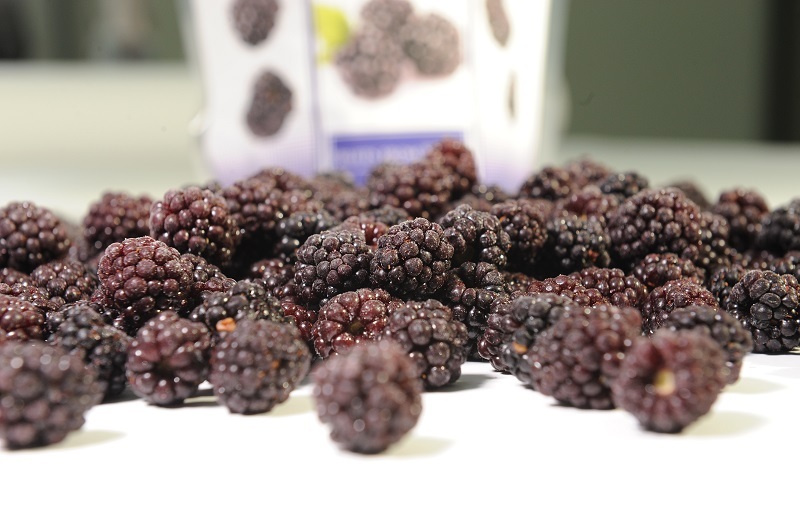 Deep frozen blackberries Image