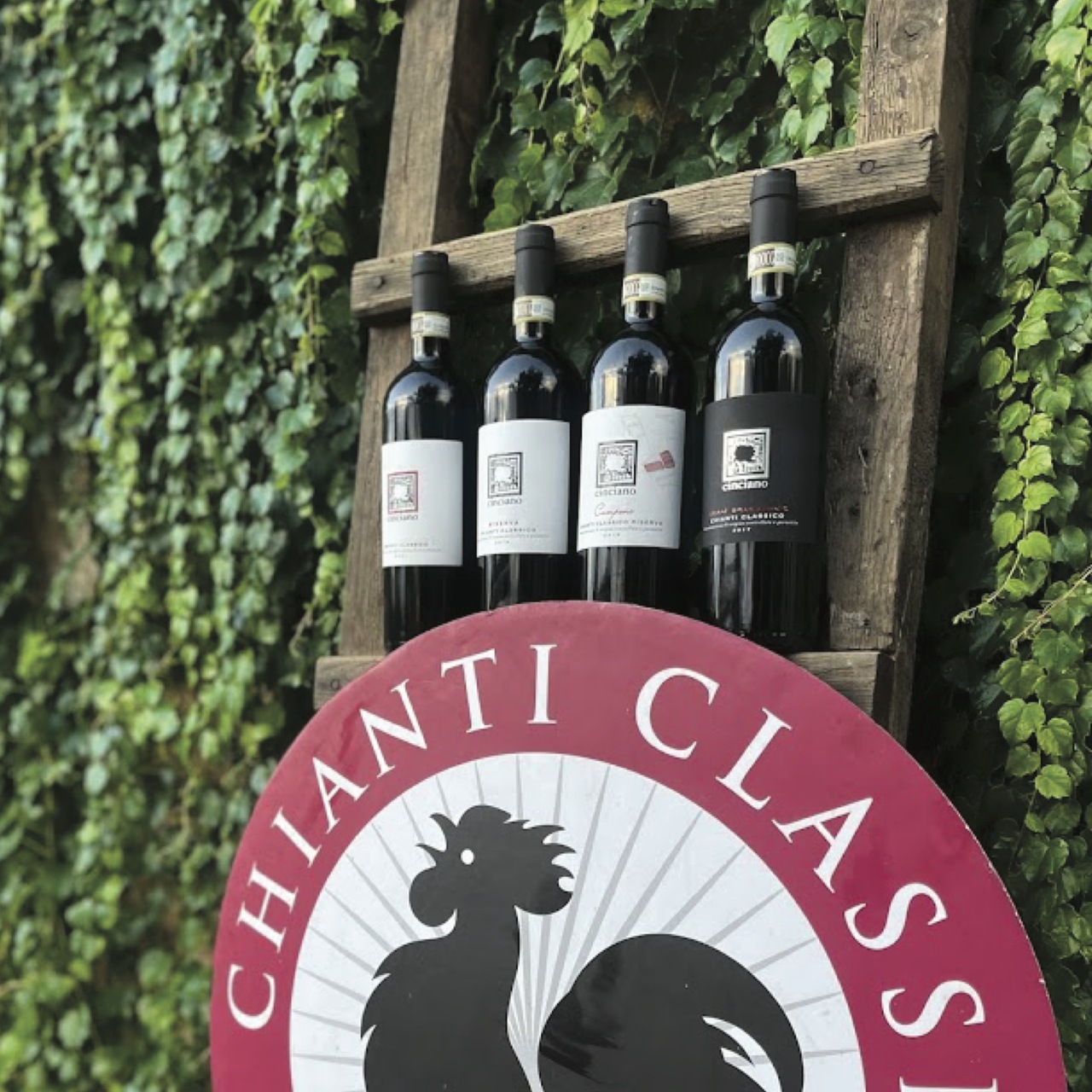 Cinciano Preziano Bianco Toscana IGT Image