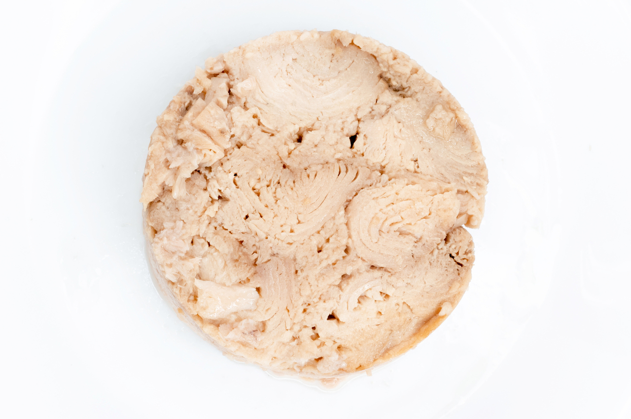 Canned Tuna and Pouched Tuna  Image