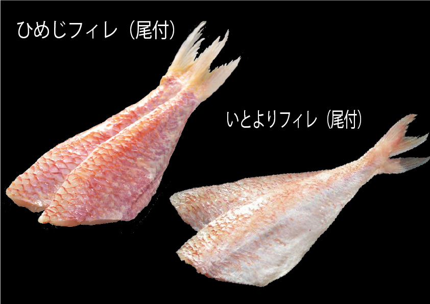 天ぷら商材（きす開き、めごち開き、ひめじフィレ、いとより尾付きフィレ）切り身商材（ひめだい切り身） イメージ