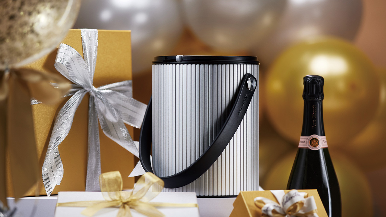 Lyra Silver Multi-Fit Bottle Chiller Image