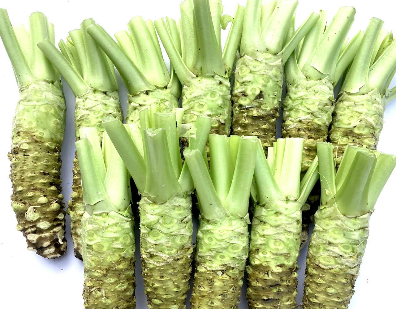 生わさび イメージ