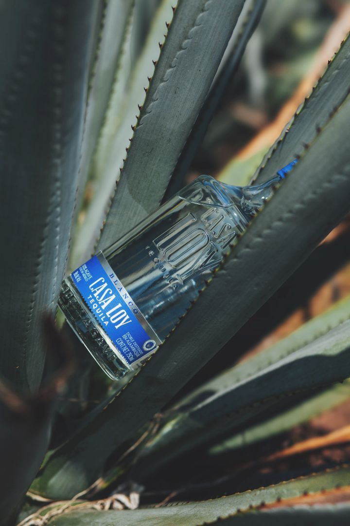 Tequila Casa Loy Image