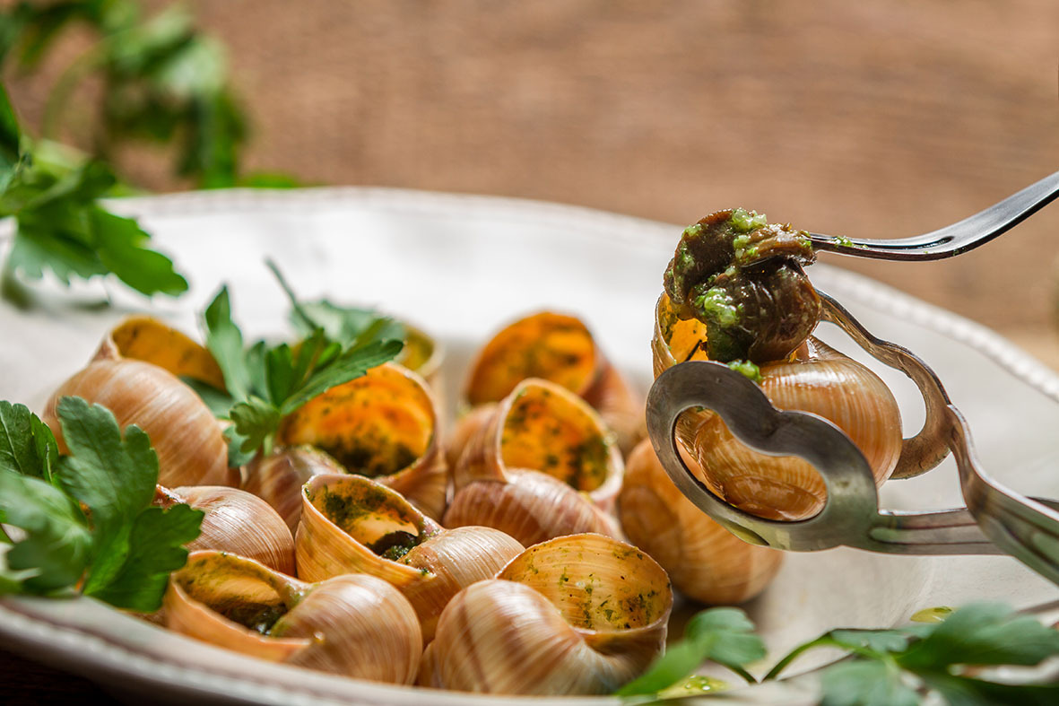 Cooked prepared frozen snails Image