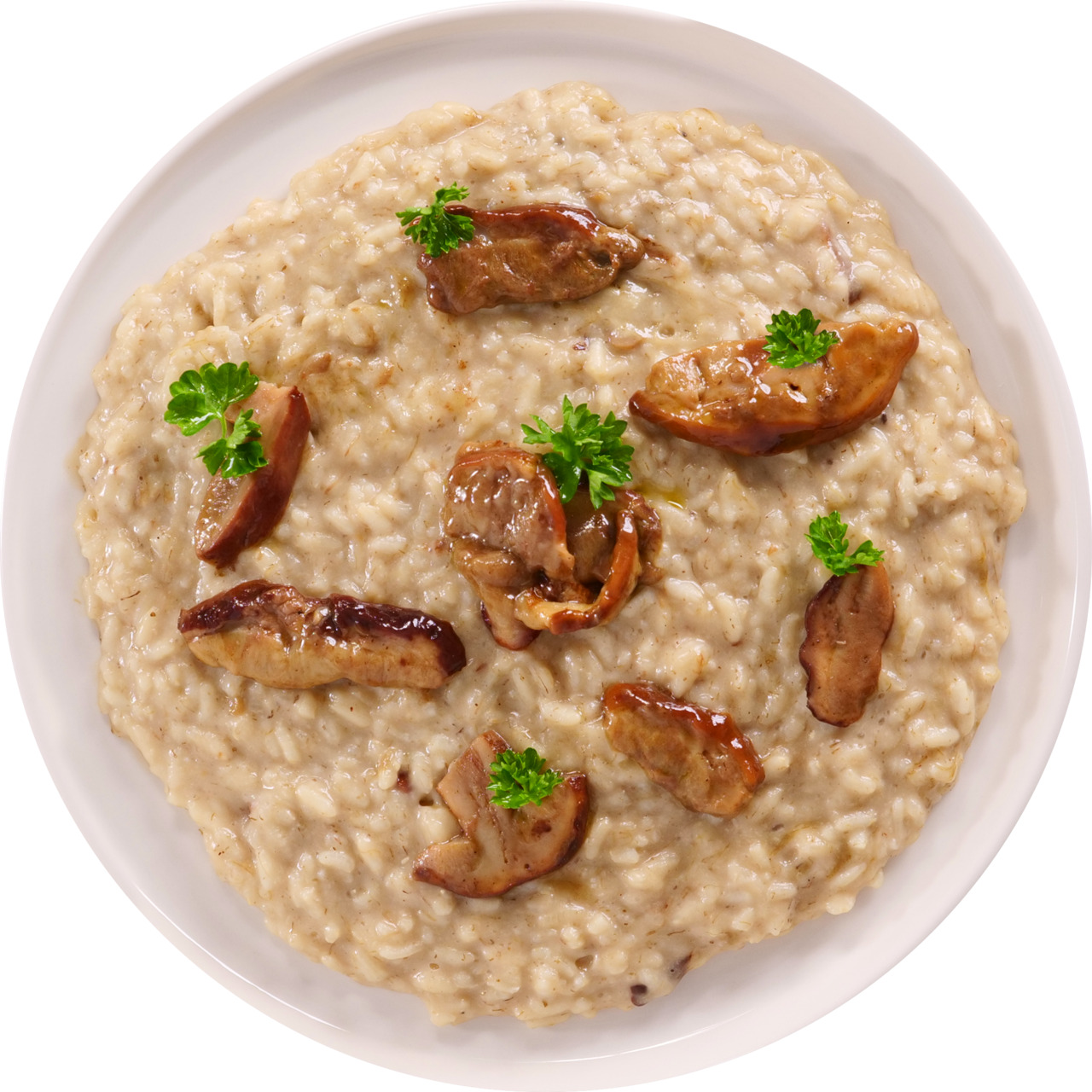 Risotto with porcini mushrooms Image