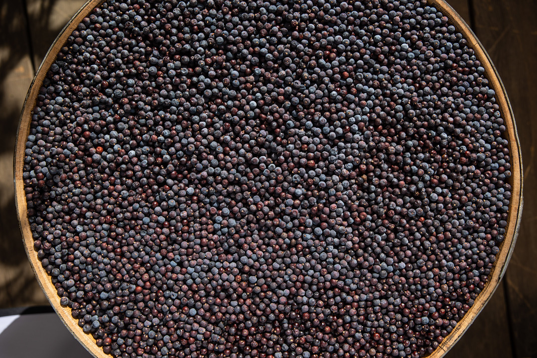Berryshka BIO juniper Brandy Image