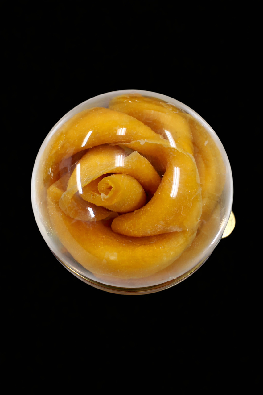 最終製品 イメージ