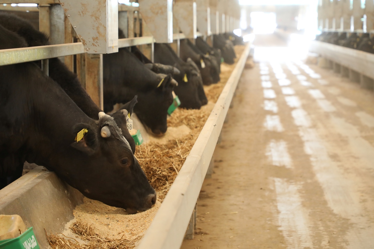 うしの中山和牛 イメージ