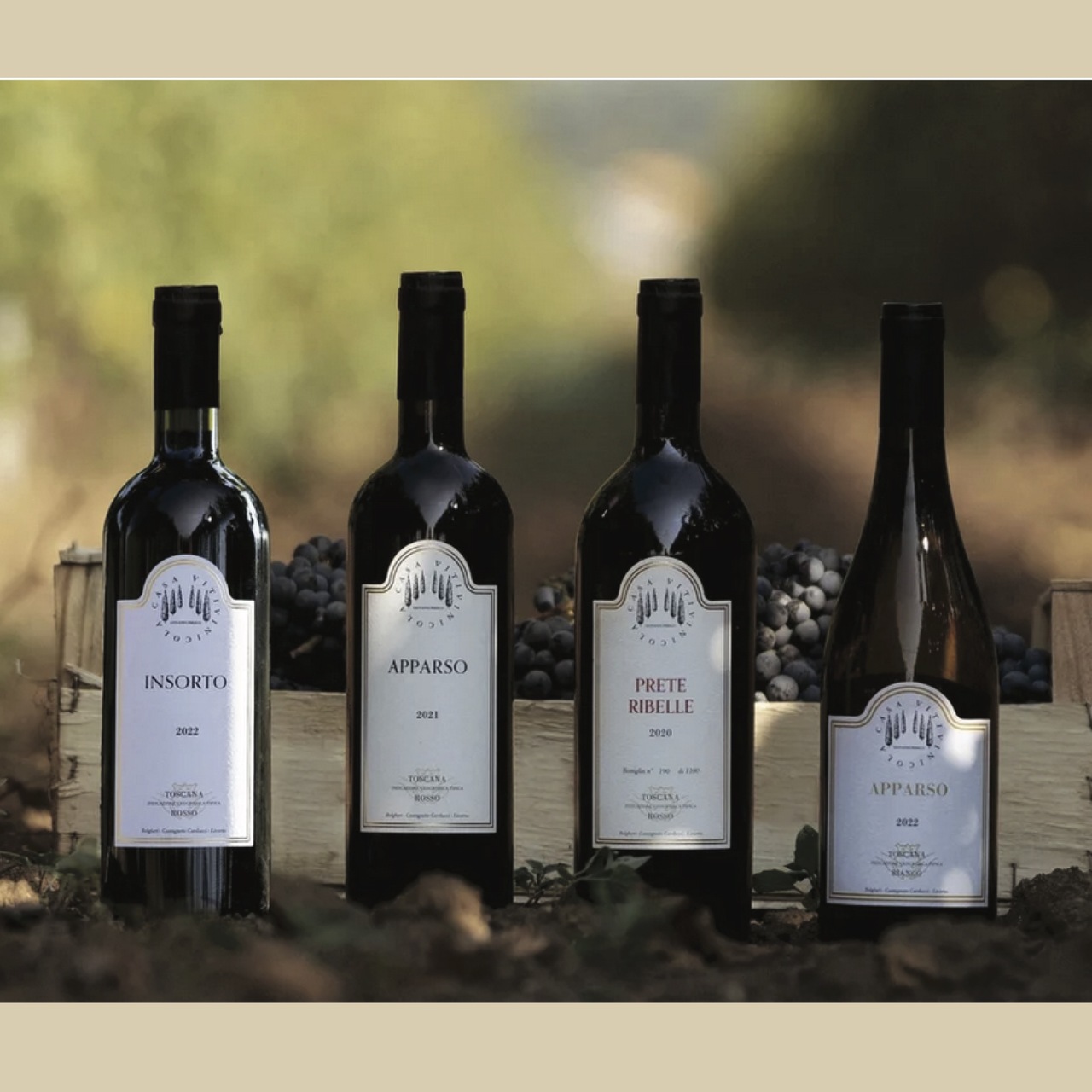 Giovanni Persico Apparso Toscana Red IGT Image