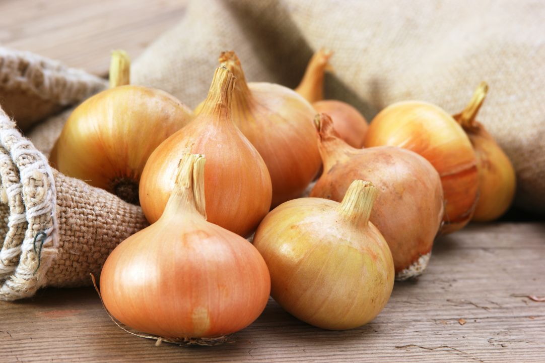 オニオンチョップ１－２ｍｍ イメージ