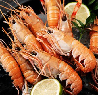 JEJU RED-BANDED LOSTER Image