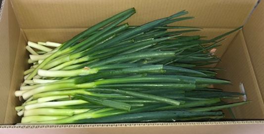 Green Onion / Chopped Green Onion Image