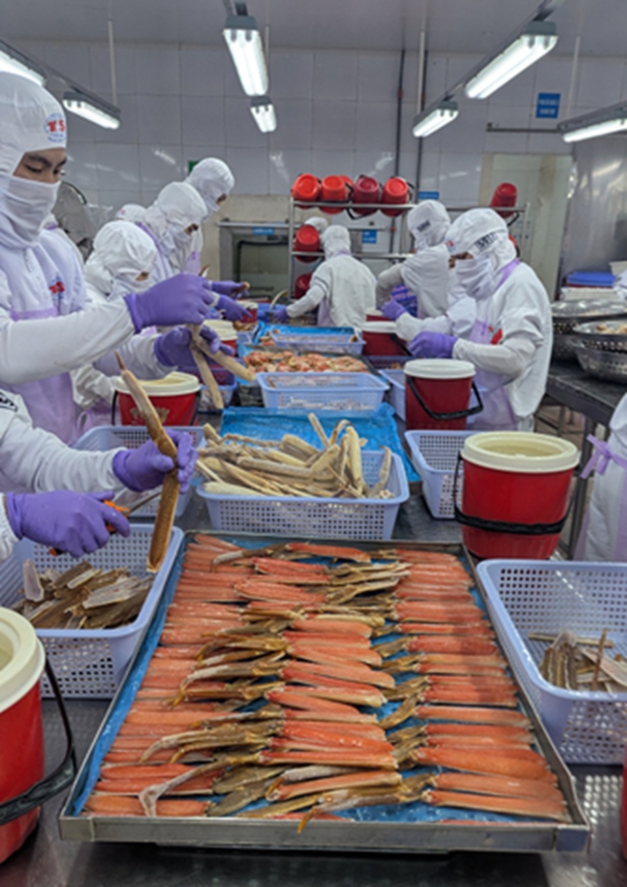 冷凍ずわいがに（生もしくはボイル） イメージ