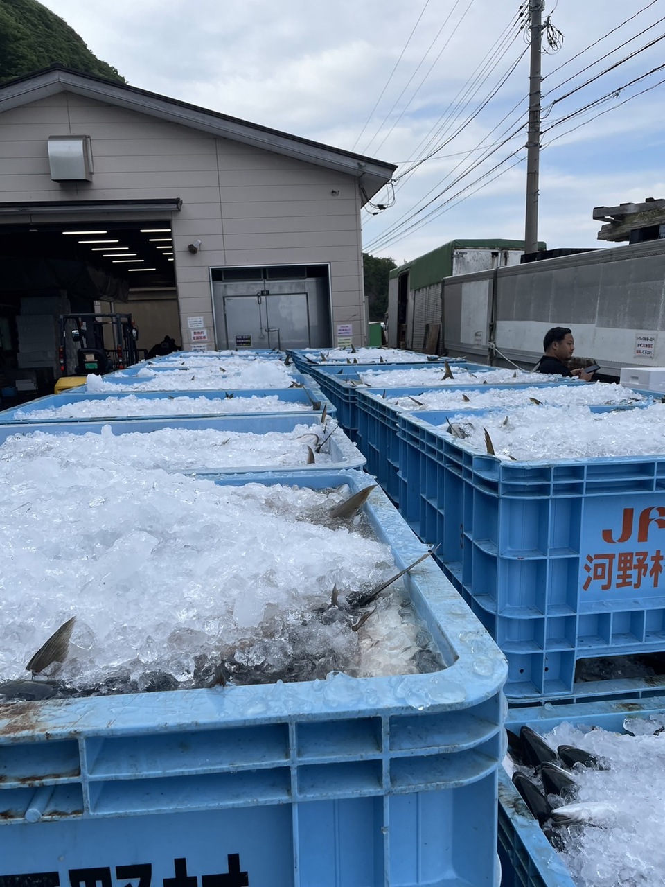 天然ぶり大根 イメージ