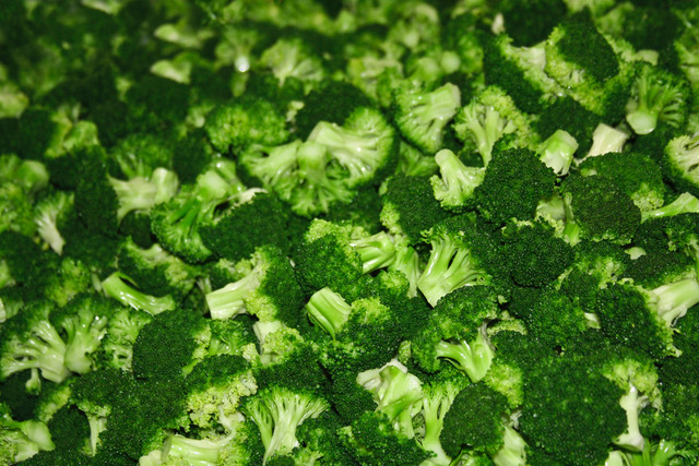 Broccoli Frozen IQF - Frozen Vegetable IQF  Image