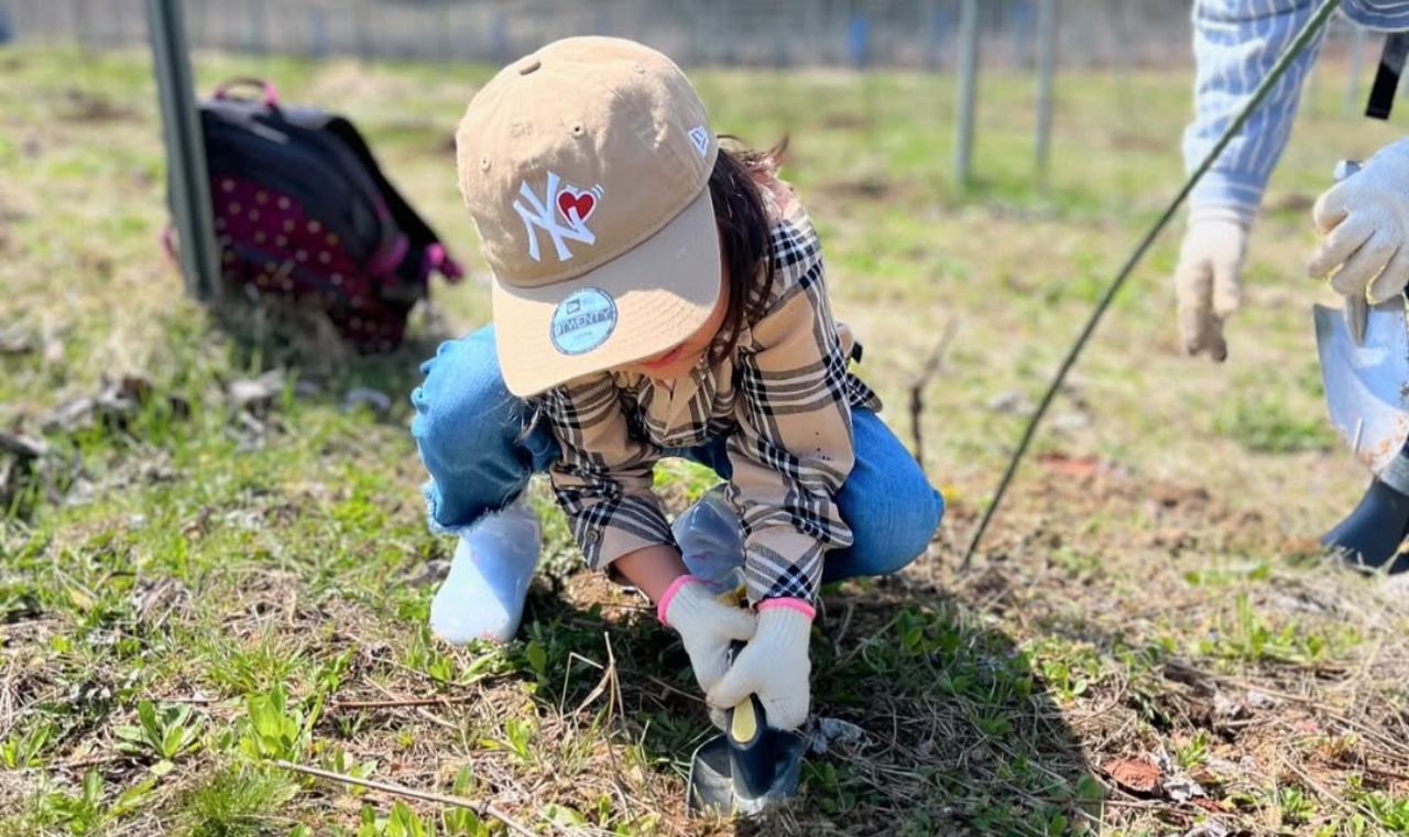 柿沢ロゼ2024 イメージ