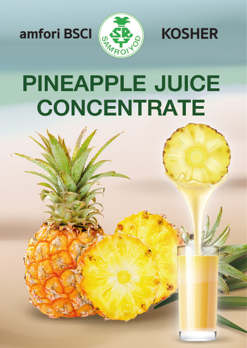 Frozen & Aseptic Pineapple Juice Concentrate Image