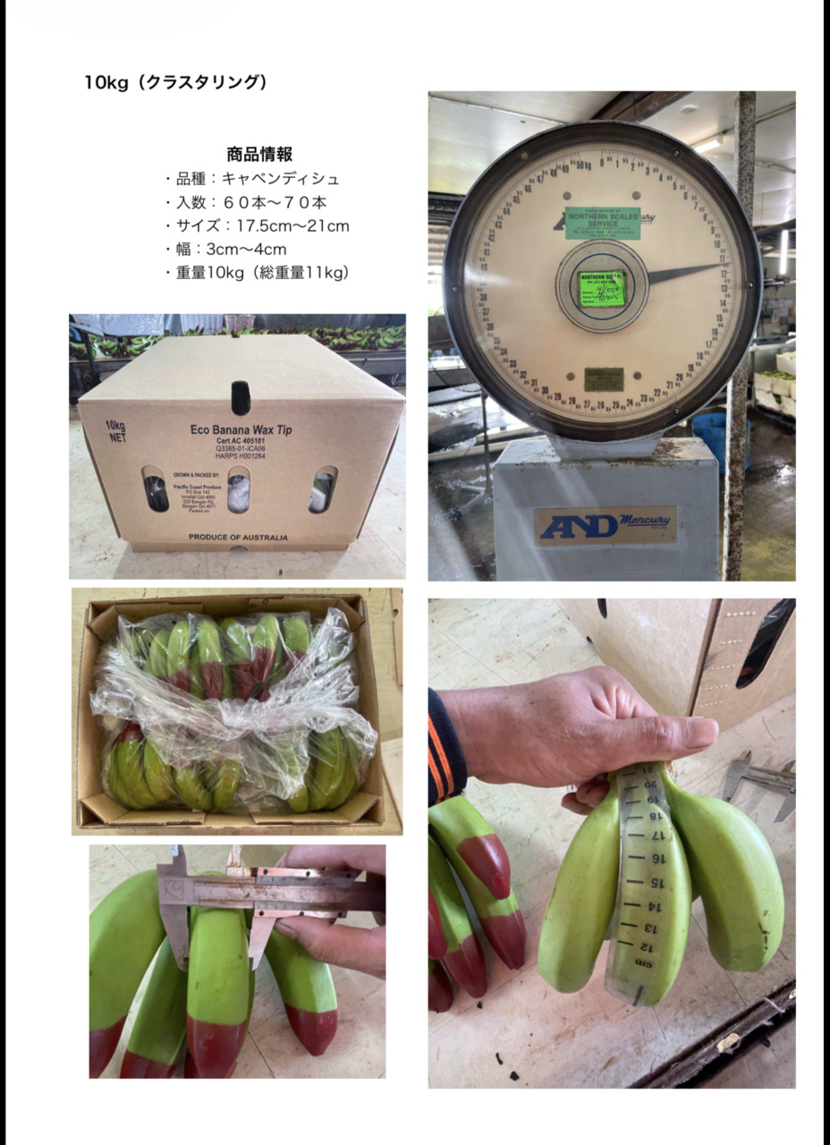 Ecoganic banana イメージ