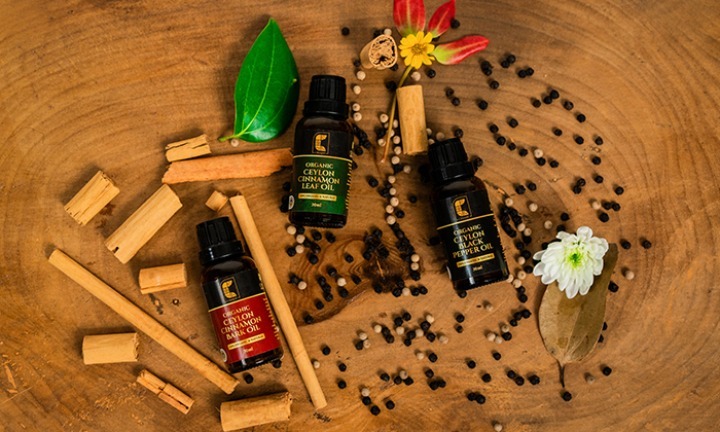 Organic Ceylon Cinnamon Bark Oil Image