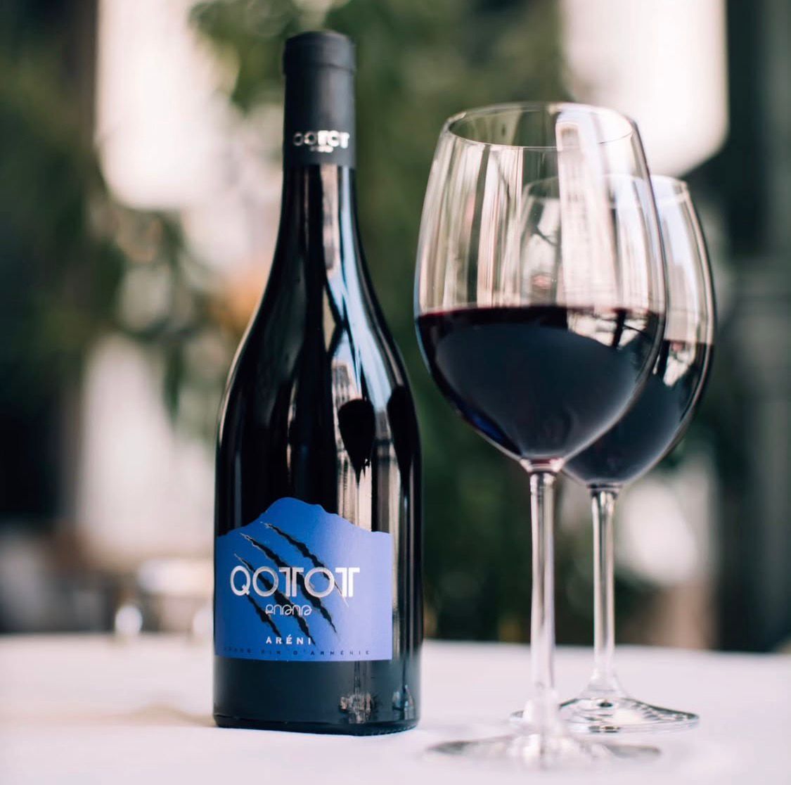 コトット 赤 辛口ワイン イメージ