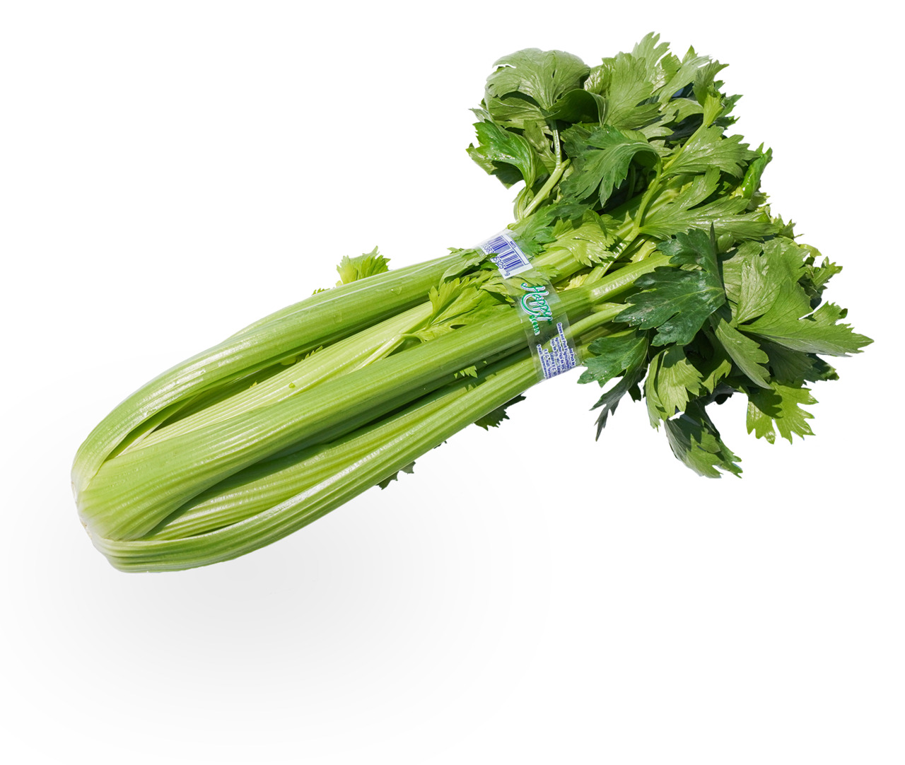 Celery Image